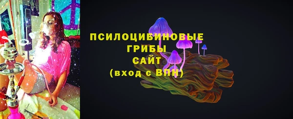 Альфа ПВП Бугульма