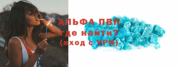 стафф Бородино
