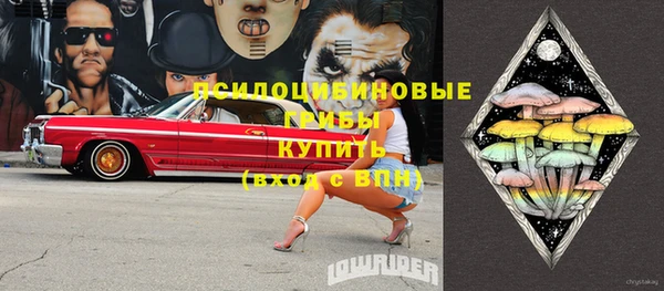 стафф Бородино